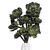 Succulent Branch - Set of 3