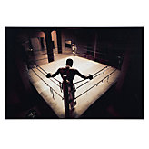 The Boxer