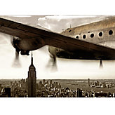 Wings Over Manhattan - Glass Coat