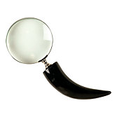 Franklin Magnifier