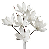 Magnolia Stem - Set of 3 - White