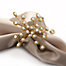 Firethorn Napkin Rings - Gold Set of 4