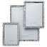 Ritz Crystal Frames - Clear