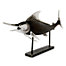 Resin Swordfish