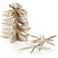 Set of 15 Starfish