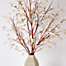Silver Dollar Branch