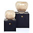 Esque Candles - Ivory