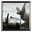 Vintage Flight 1