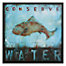 Conserve Water