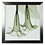 Datura
