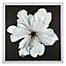Ruffled Tulip