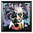 Albert Einstein Framed Art Poster by David Garibaldi