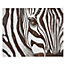 Zebra on Canvas