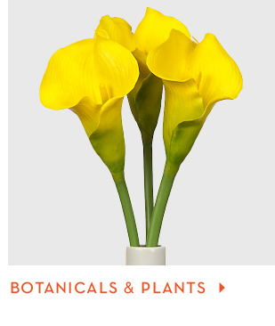 botanicals and plants