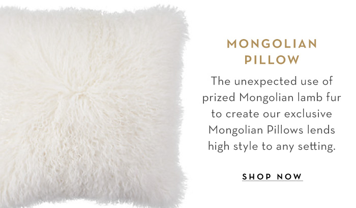 Shop Mongolian Pillow