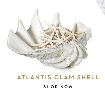 Shop Atlantis Clam Shell