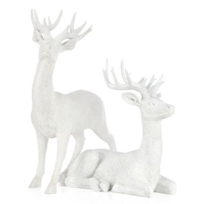 Majestic Deer - 22H & 32H