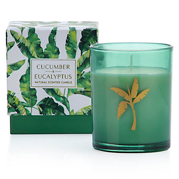 Palm Tree Candle Candles Home Fragrance Decor Z Gallerie Palm Tree Candle