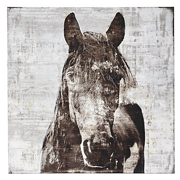 Winter Stallion Canvas Art By Type Z Gallerie Winter Stallion