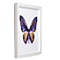 Metallic Butterfly | Nature & Botanical | Art Themes | Art | Z Gallerie